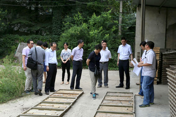 我队参与完成的徐州城市地质调查项目野外验收获评优秀级