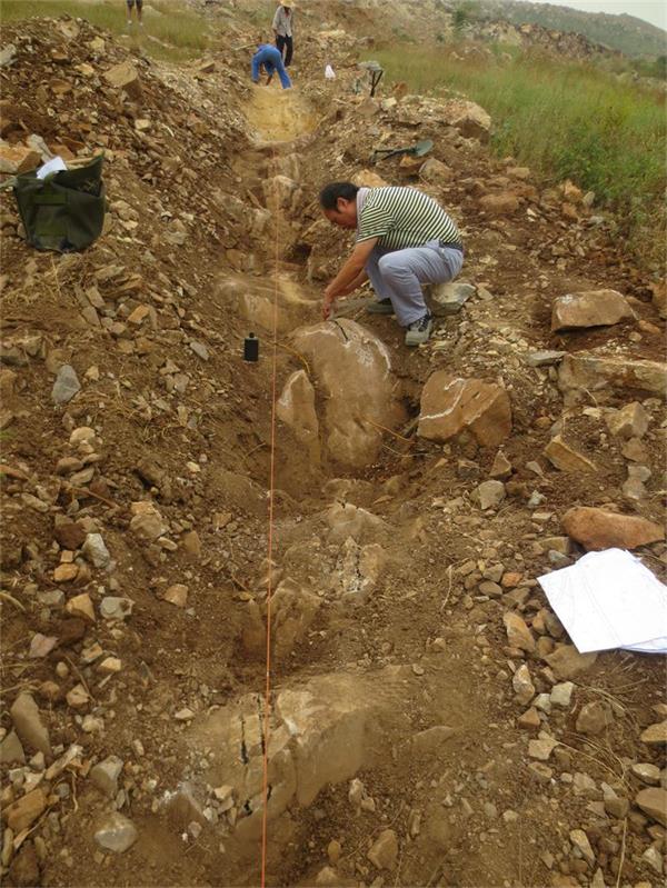 铜山区青龙山水泥用石灰岩矿资源储量核实评审获赞誉