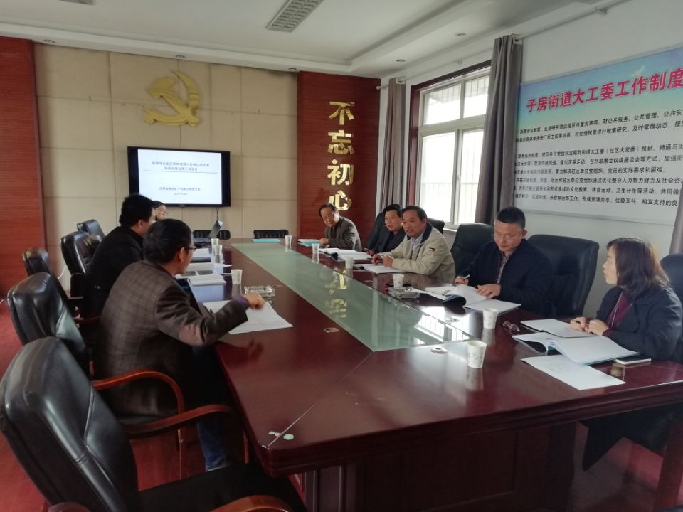 《徐州市云龙区贵邦俊园小区响山西北坡地质灾害治理工程设计》顺利通过专家评审