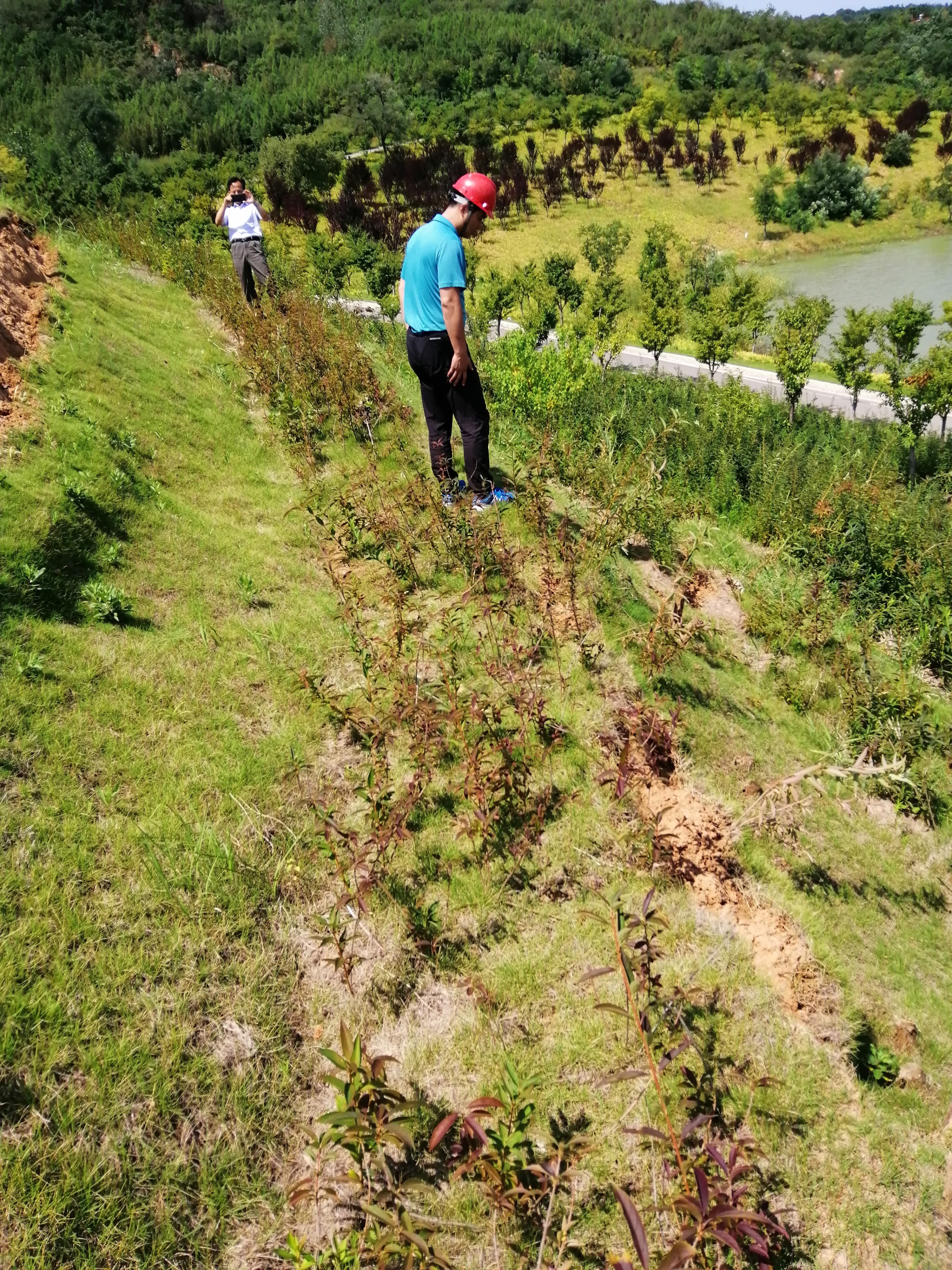 技术中心参与某风景区滑坡地质灾害应急调查