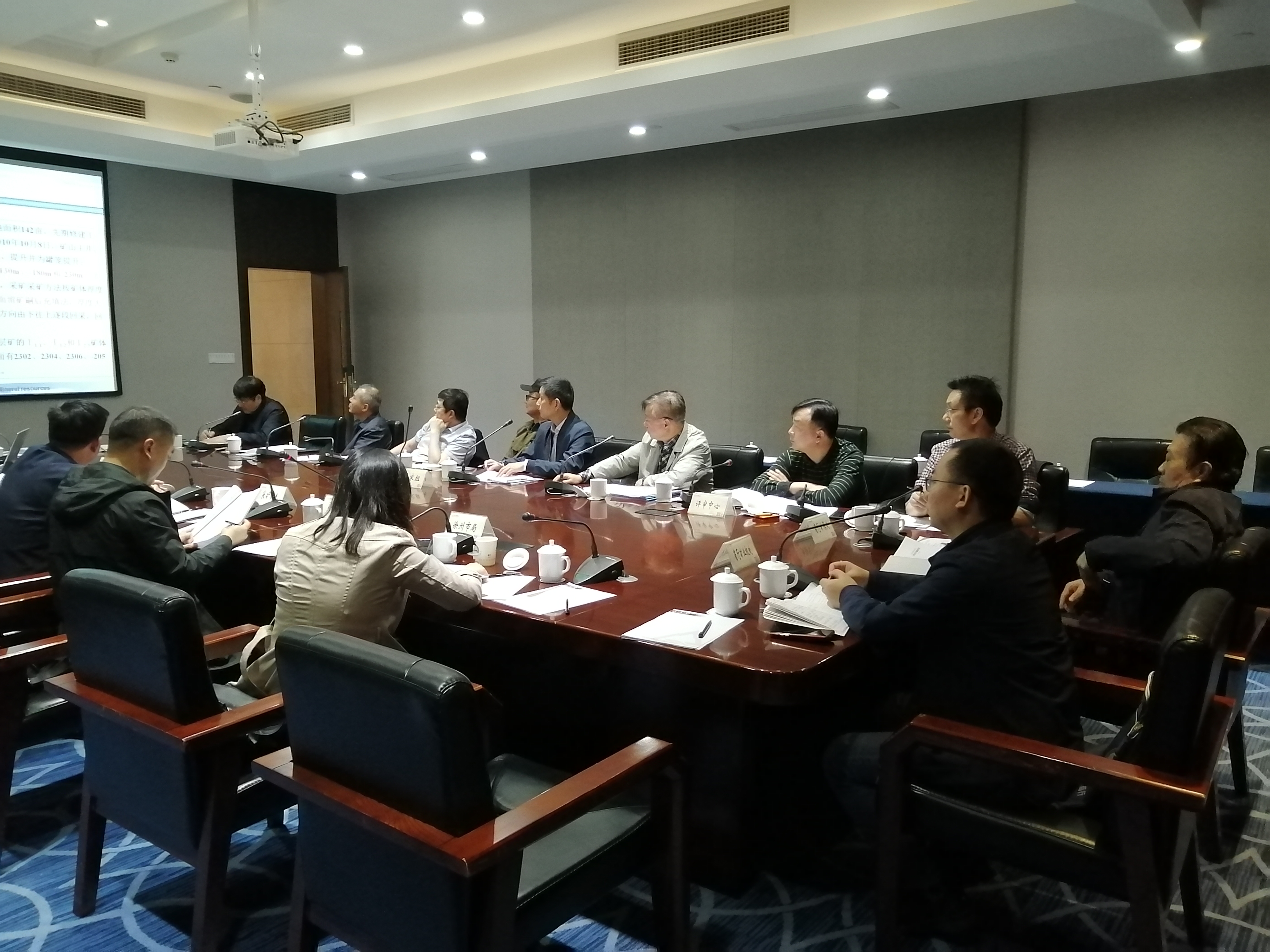 《江苏省沛县姜梨园-魏老家矿区姜梨园矿段铁矿资源储量核实报告》 通过评审