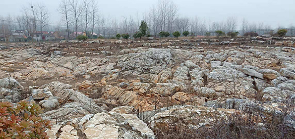 邳州市省级地质公园地质遗迹保护项目通过验收