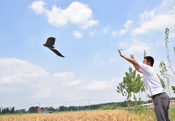 我队全力推进徐州市采煤沉陷区综合治理专项调查工作