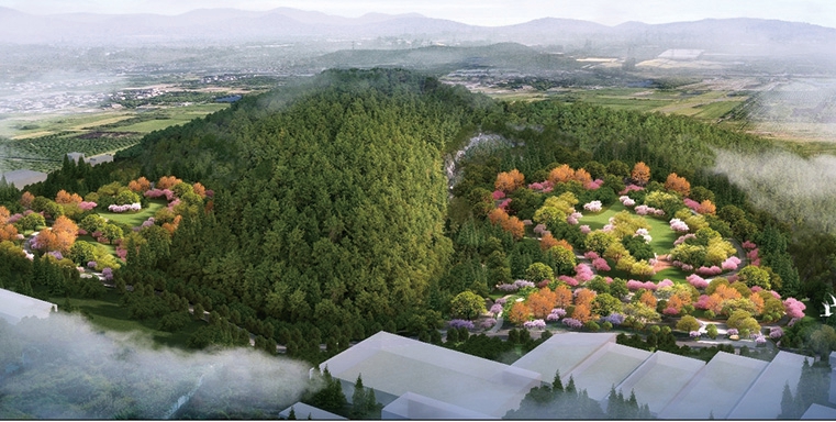 从地质找矿“尖兵”到生态修复治理“园丁” ——地质五队矿山生态修复治理侧记