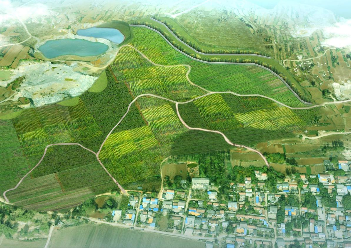 从地质找矿“尖兵”到生态修复治理“园丁” ——地质五队矿山生态修复治理侧记