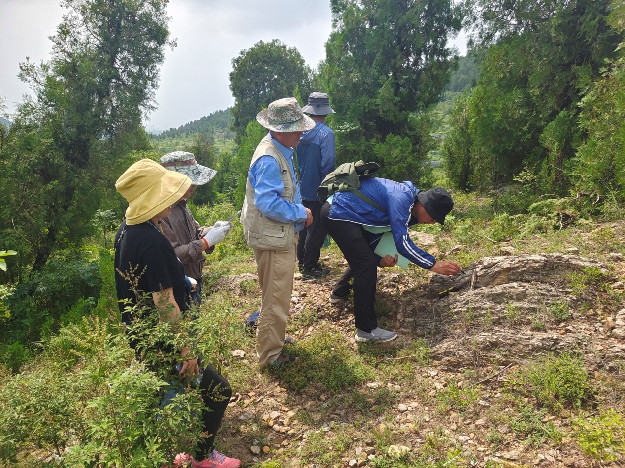 我队地质技术助力考古新发现